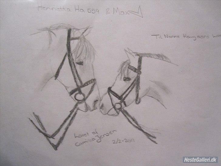 Haflinger Henrietta Ha 559 (Tykkeh) - Henna & Max´en Billed tegnet af Camilla Jensen.(: billede 11