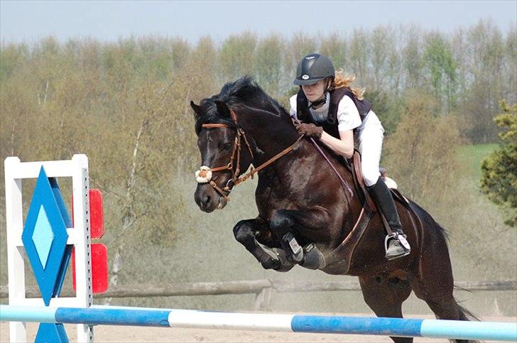 New Forest Elmholts Raket billede 3