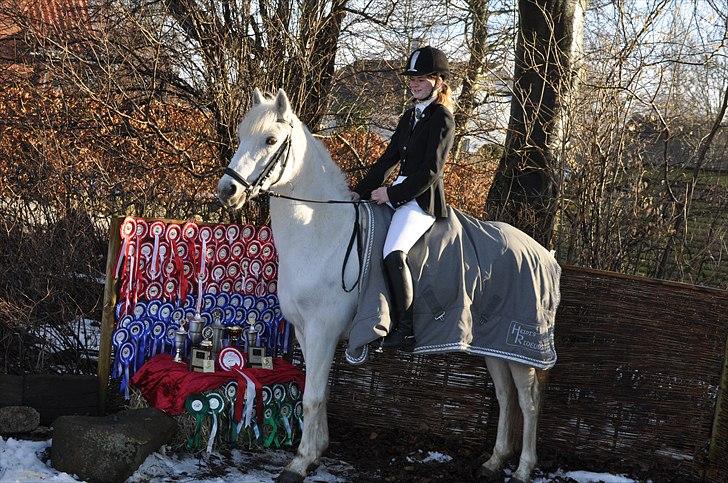 Anden særlig race sasja B PONY ! ILY. SOLGT - mig og sasja med alle vores rosetter og popkaler ! der er 96 rosetter. og 8 pokaler ! elsker den pony så højt! på 2 ½ år har vi vundet alt det ! er stolt !  billede 16