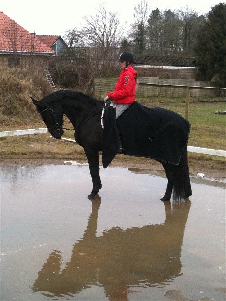 Oldenborg Catana billede 4