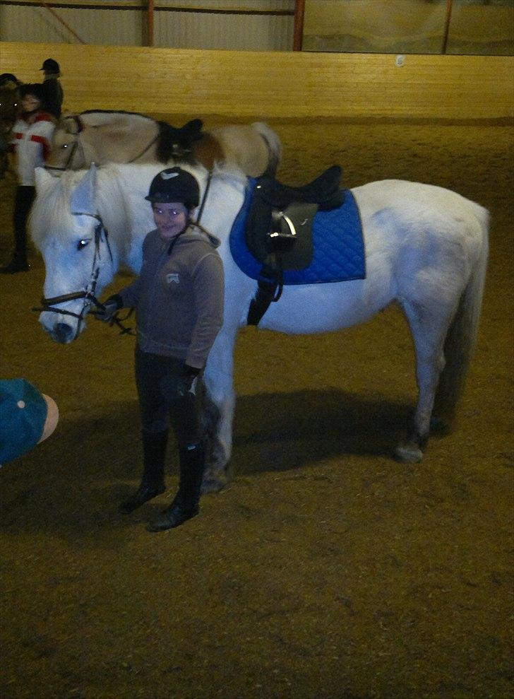 Anden særlig race Hannibal - Himmelhest - Her er det en af pigerne i klubben der holder Hannibal billede 11
