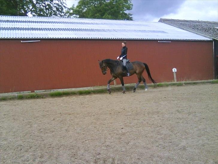 Anden særlig race Tornado<´3 (SOLGT) :´( billede 9