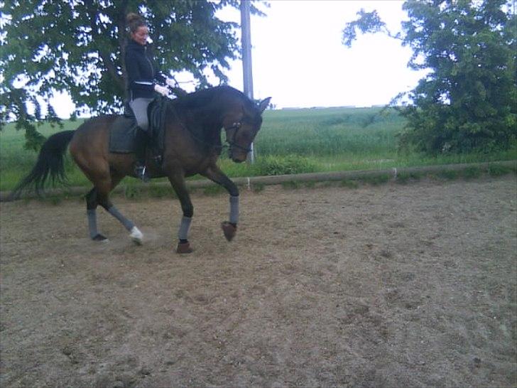 Anden særlig race Tornado<´3 (SOLGT) :´( - fjolle hesten! xD <3 billede 10