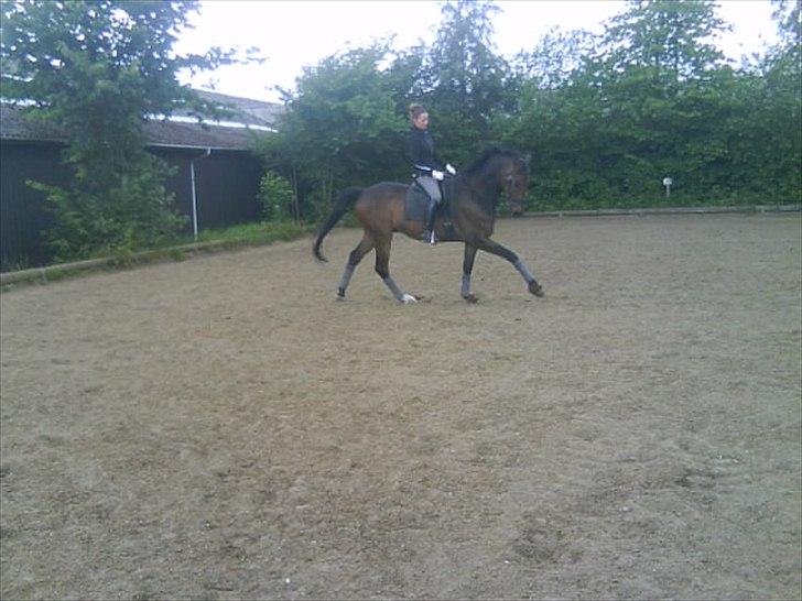 Anden særlig race Tornado<´3 (SOLGT) :´( billede 11