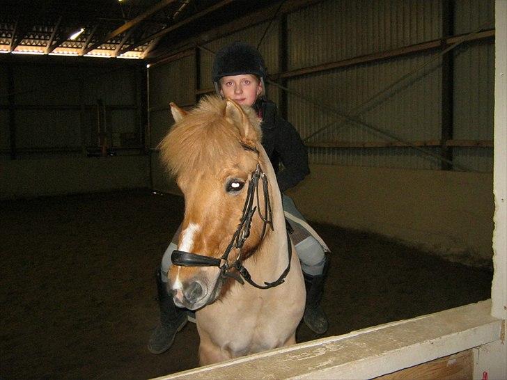 Anden særlig race - Frederik - - Den pony er ubeskrivelig, 2011 vinter <3 Du er det bedste jeg ved! billede 6