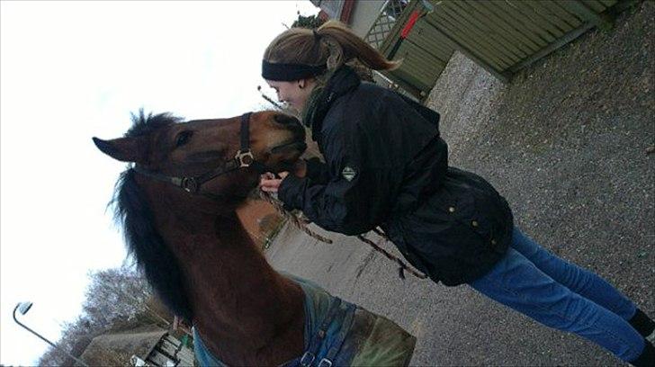 New Forest Lundgaards kahlua <3 - ICH BIN KAHLUA!!! Foto ; Sandra billede 18