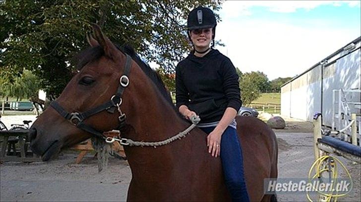 New Forest Lundgaards kahlua <3 billede 19