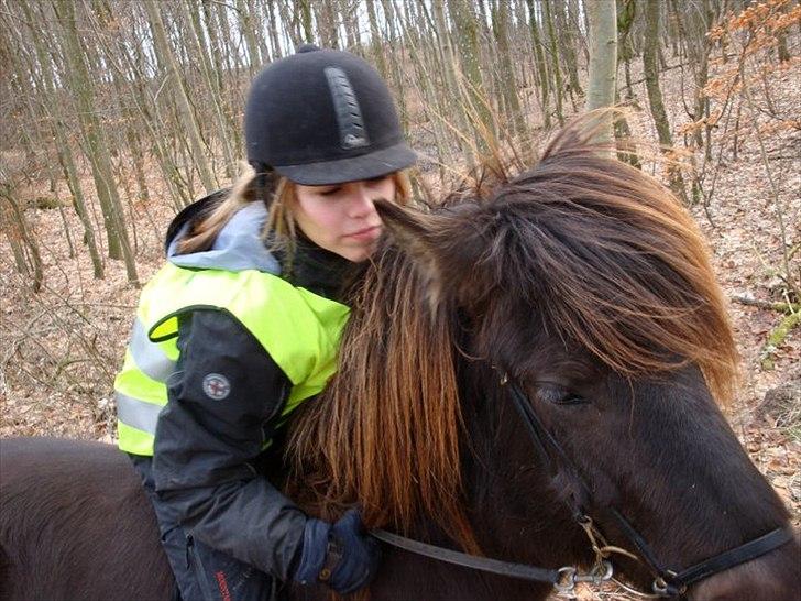 Islænder Perla fra Bagterp - Tur uden saddel :) billede 10