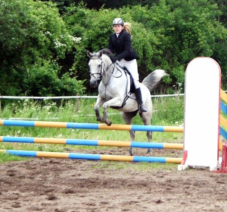 Arabisk fuldblod (OX) IS Anushka OX - Stævne d. 29/05 2011. Taget af Emma Friis Petersen :)! billede 2