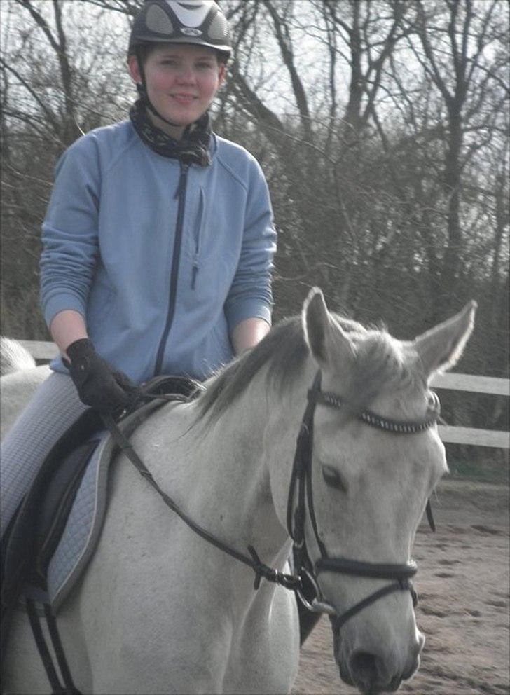 Arabisk fuldblod (OX) IS Anushka OX - :) billede 4