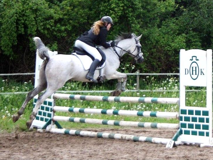 Arabisk fuldblod (OX) IS Anushka OX - Stævne d. 29/05 2011. Taget af Emma Friis Petersen :)! billede 5