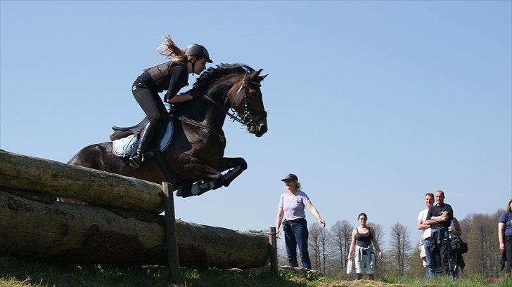 Anden særlig race Victoria. - #16 cauze girl you are amazing - just the way yor are!<3. terræntræning! på Vilhelmsborg. billede 12