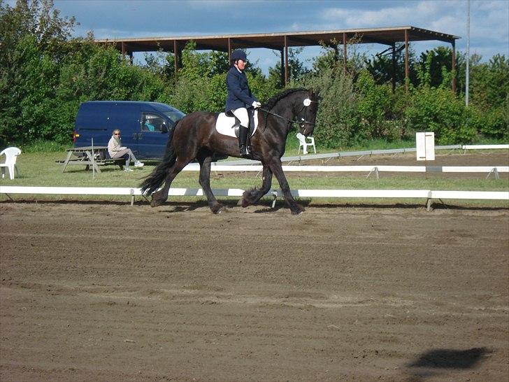 Frieser Jara - trave det kan hun :-) billede 2