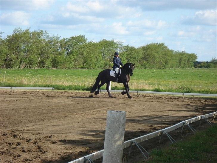 Frieser Jara - Hun troede det var meget farligt i dette hjørne billede 3