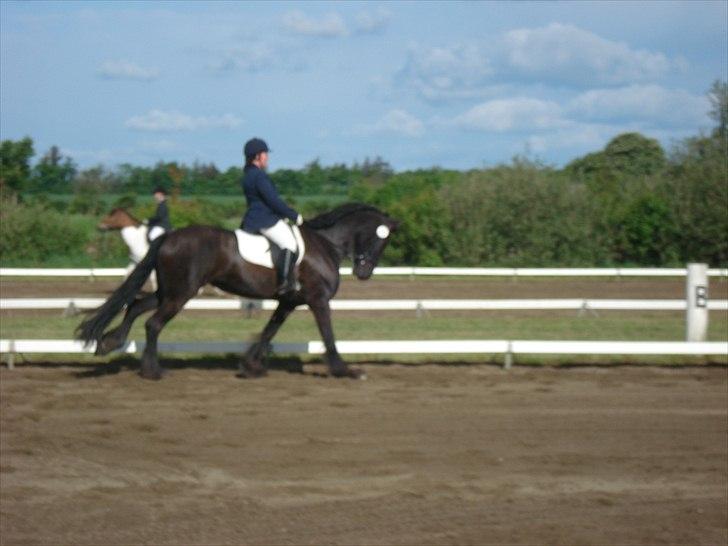 Frieser Jara - Hun er rigtig dejlig at sidde på i galop. billede 4