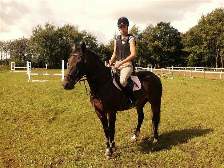 DSP Buegårds Saturn Solgt :'( - you are simply the best :/♥ billede 16