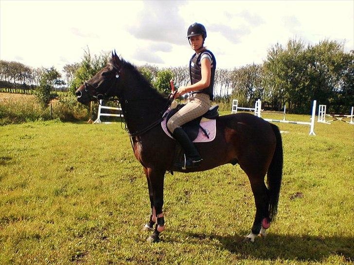 DSP Buegårds Saturn Solgt :'( - you are simply the best :/♥ billede 17