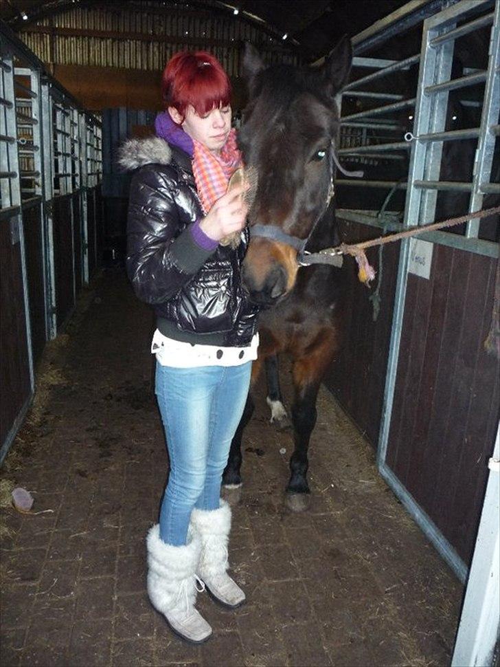 DSP Buegårds Saturn Solgt :'( - det er ikke sjovt at sige farvel til sin bedsteven :/ billede 20