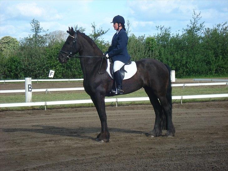 Frieser Jara - Se lige mig :-) billede 5