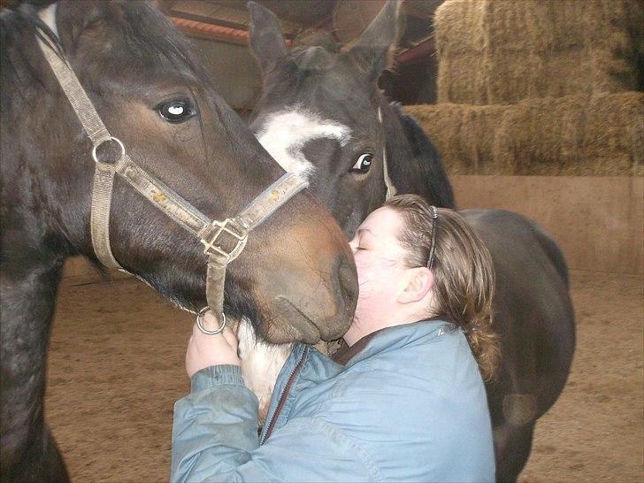 Anden særlig race Mox Diamond *solgt* billede 18