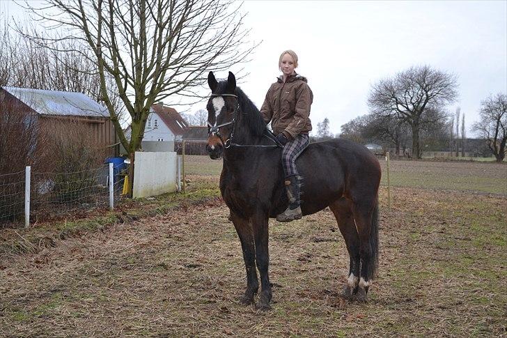 Oldenborg Rosenhavens Sindi billede 6