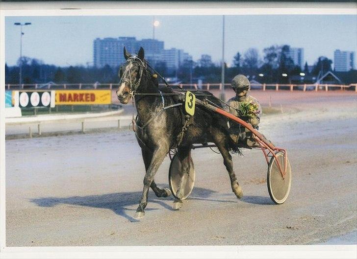 Traver Kostonia Hedebo - 16 jan 2011 billede 2