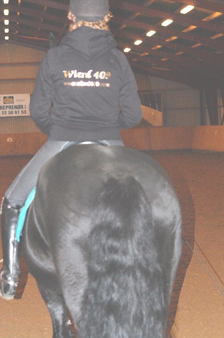 Frieser WIERD 409 billede 11