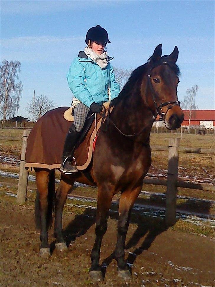 Anden særlig race Liva the Diva *R.I.P.* - Da jeg var ovre og prøve Liva<3 :) billede 3