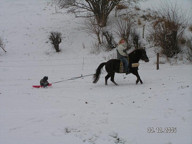 Anden særlig race Indian Girl - Leg i Sneen i 2006 :o) billede 6