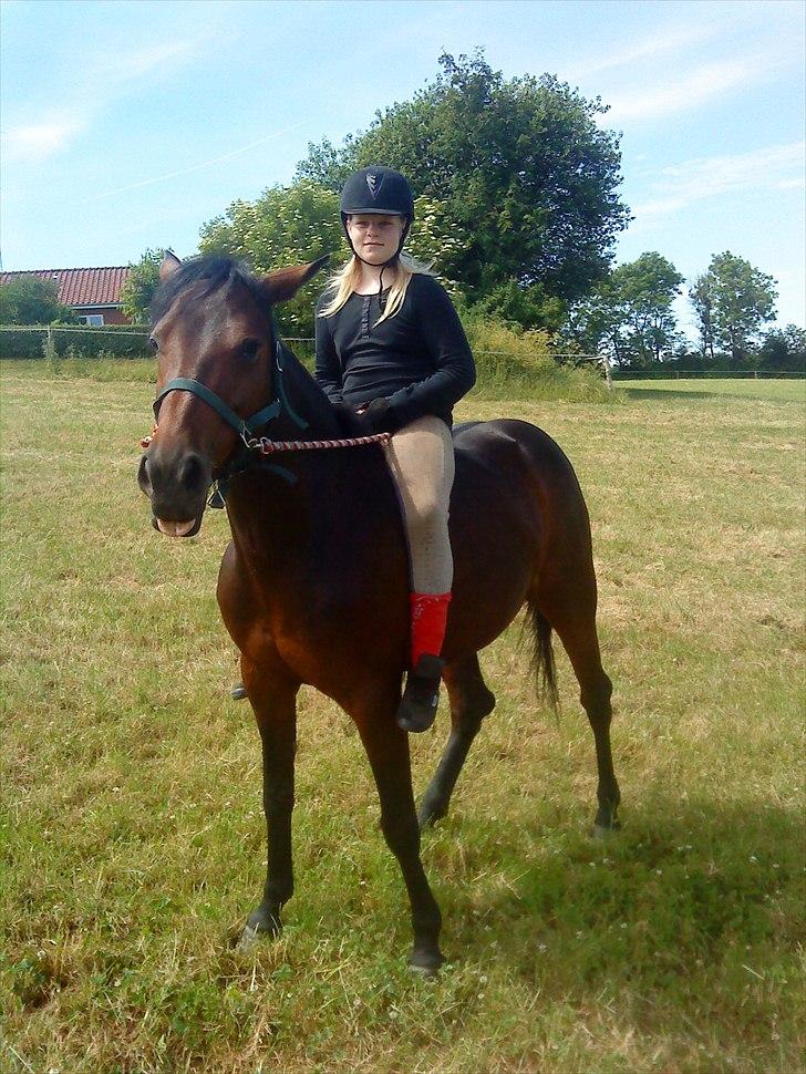 Anden særlig race Molly *Mit liv<3* - Sommers i år 2010 :D billede 3