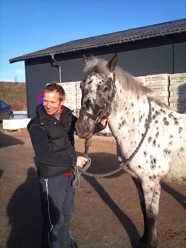 Appaloosa Night-Shift - Haha glade thomas der stod med shifter inden vi skulle kører imens vi striglede :) billede 16
