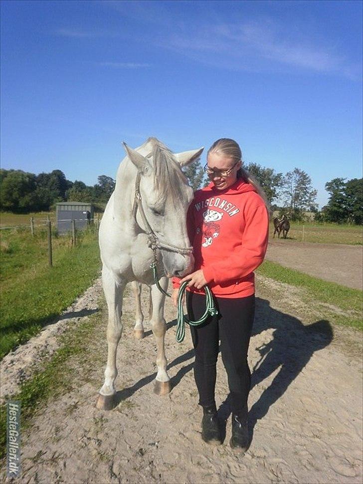Anden særlig race Bolero (opsagt) - ejeren og Bolero.. skyfri himmel og nuzzer pony  billede 3