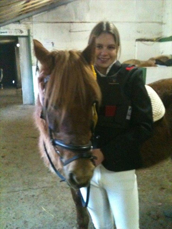 Islænder / Araber Sussi *Elev hest* - Du er og blir den bedste hest sussi! er så glad for at kende dig pony! <333 billede 7