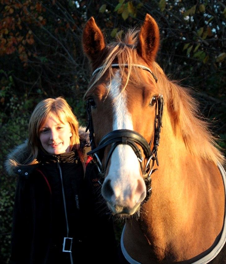 Anden særlig race Stald Nino's Calido billede 1