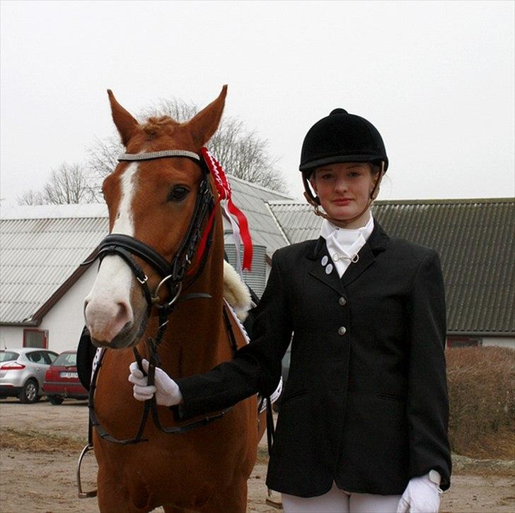 Anden særlig race Stald Nino's Calido - Stævne i Egum 2/4 2011 - stjerne pony. <3 vundet LD1 med 71,33% billede 6