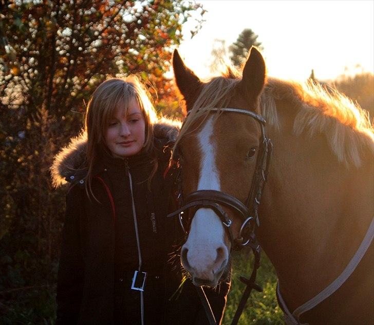 Anden særlig race Stald Nino's Calido billede 16