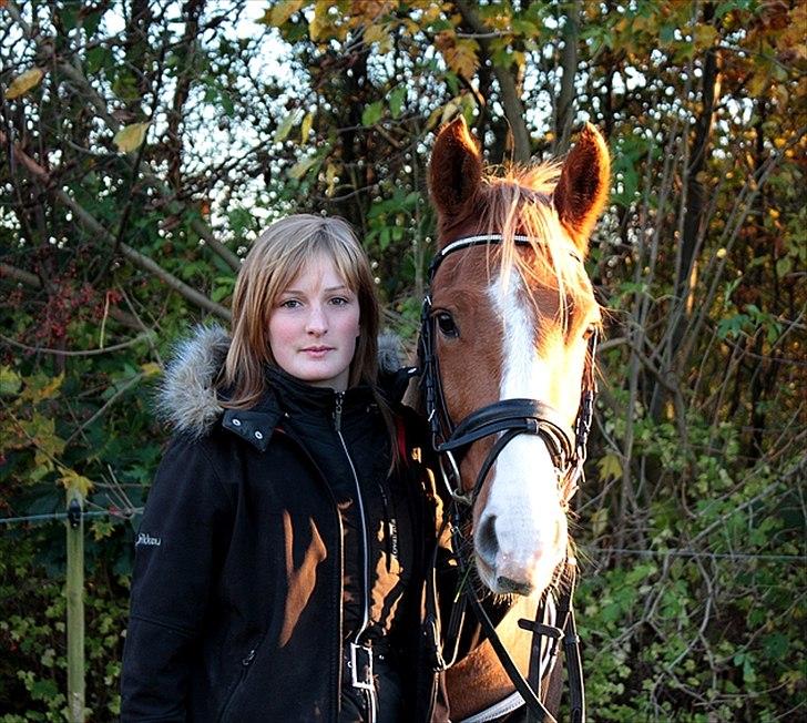 Anden særlig race Stald Nino's Calido billede 19