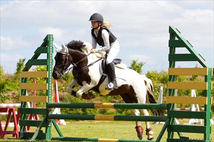 Welsh Pony (sec B) Carola *Min Bedste Ven* - Stævne på NFRK 2010. billede 1