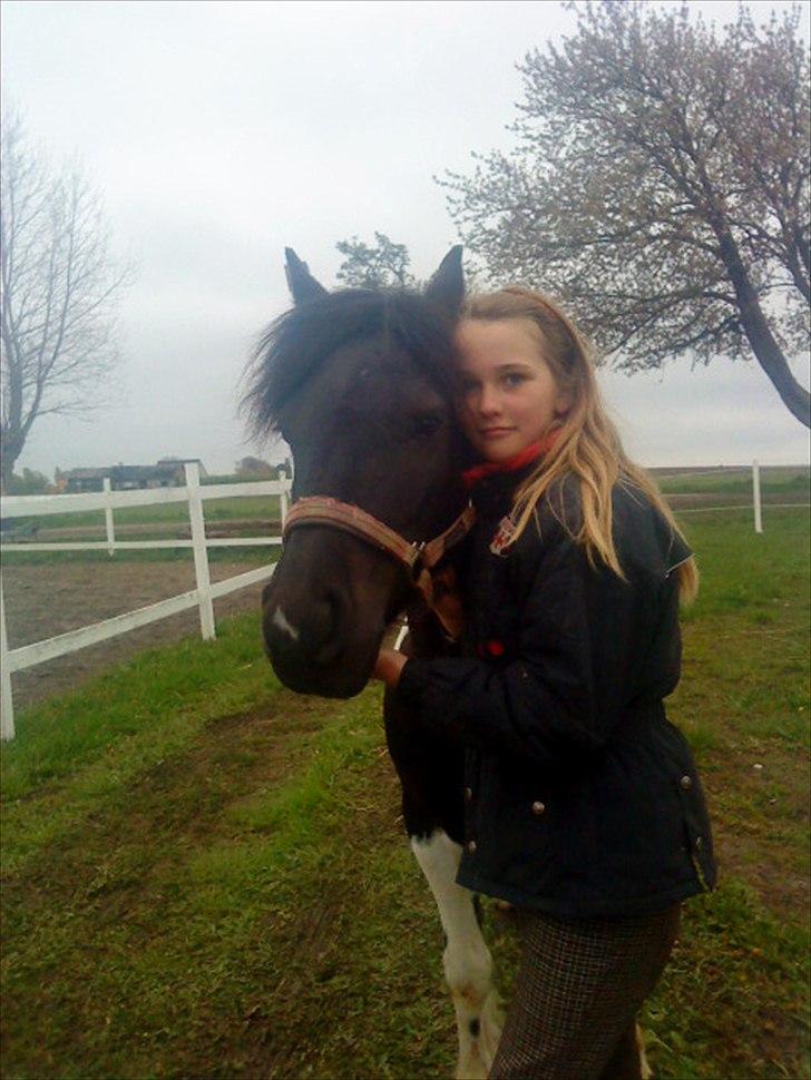 Welsh Pony (sec B) Carola *Min Bedste Ven* - Gammelt billede, men det viser hvor meget jeg elsker dig<33. billede 20