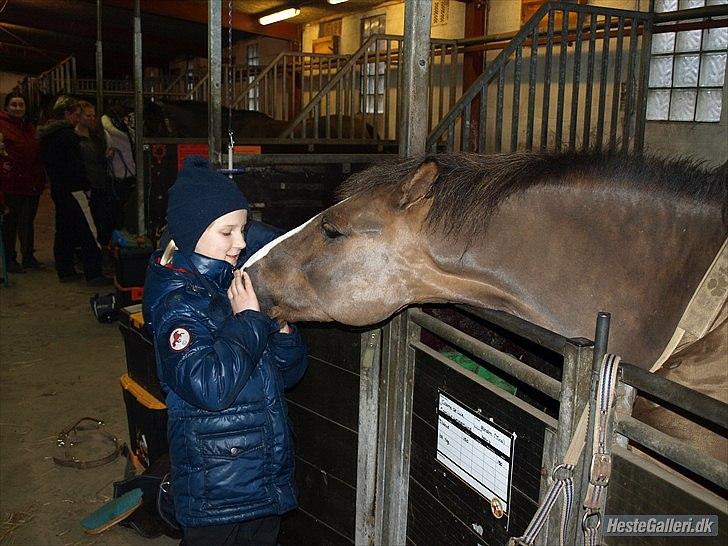Anden særlig race cosmo de lux <3<3<3<3<3 - har du noget i lommen? billede 3