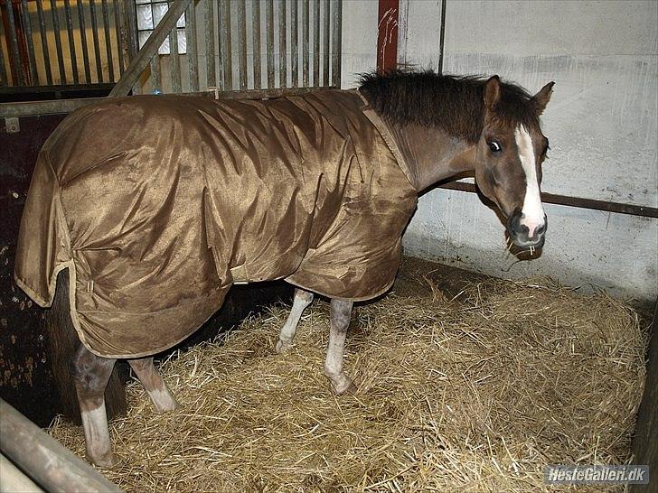 Anden særlig race cosmo de lux <3<3<3<3<3 - kuk kuk ;D billede 4
