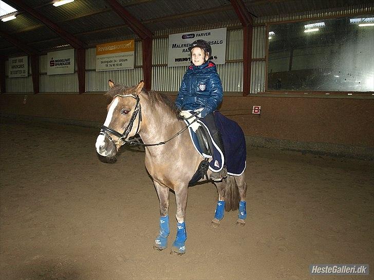Anden særlig race cosmo de lux <3<3<3<3<3 - love cosser <3<3<3<3<3<3<3 billede 5