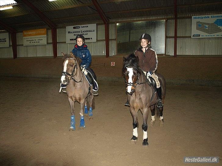 Anden særlig race cosmo de lux <3<3<3<3<3 - <33<3<3<3<33<3<33 billede 6