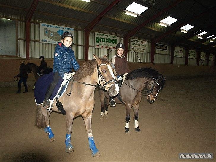 Anden særlig race cosmo de lux <3<3<3<3<3 - min engel <3<3 :* billede 7