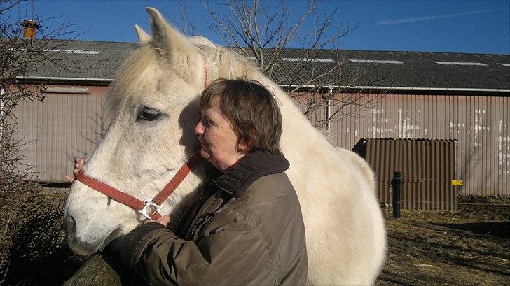 Anden særlig race Hannibal - Himmelhest - Mennesker er da dumme, de andre gik ud på folden, jeg vil da med billede 6