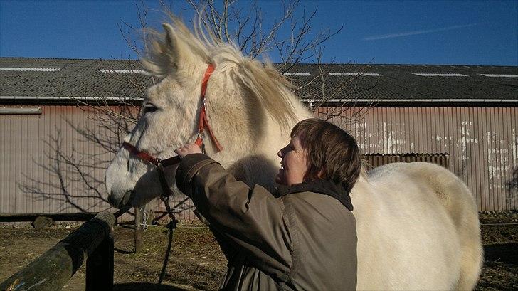 Anden særlig race Hannibal - Himmelhest - Nej nej nej, se de andre går lige derude billede 5