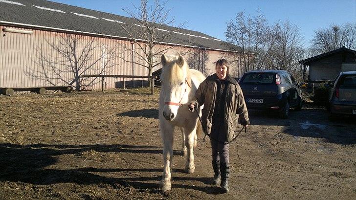 Anden særlig race Hannibal - Himmelhest - YES nu sker der noget, nu har hun vist fattet det billede 9