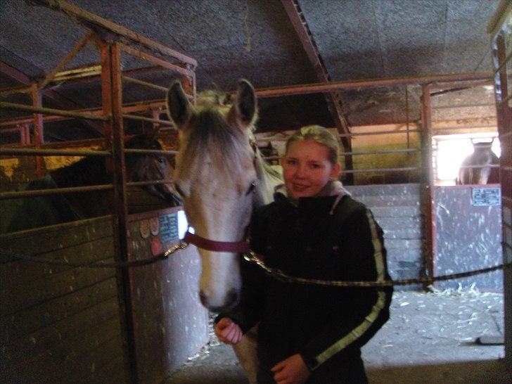 Arabisk fuldblod (OX) IS Anushka OX - Anushka og jeg er ved at gøre klar til stævne xD billede 7