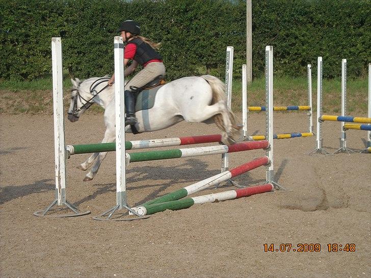 Anden særlig race Oliver<3 SOLGT:'/ - (2)
fordi denne dag, var en ubehagelig dag:'( styrtet bringer stadig dårlige minder!:*(
Foto: sofie eller mor billede 2