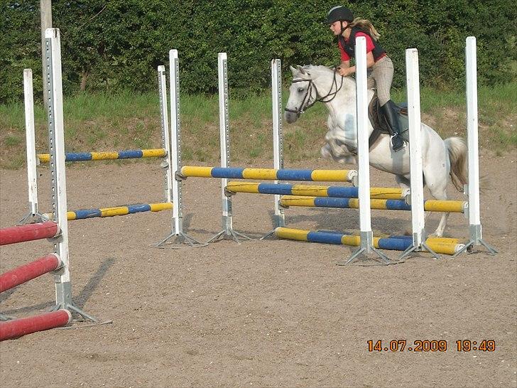 Anden særlig race Oliver<3 SOLGT:'/ - (4)
fordi jeg elsker dig!
Foto: sofie eller mor billede 4